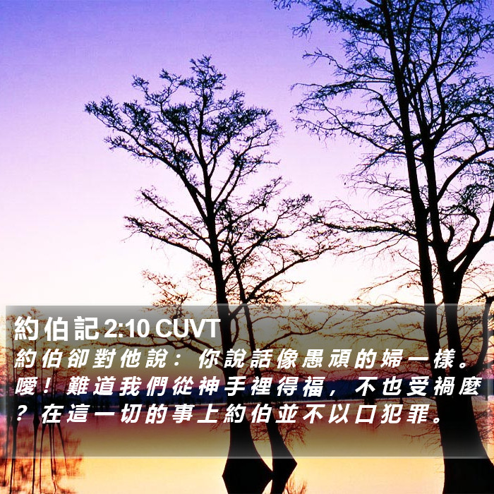 約 伯 記 2:10 CUVT Bible Study