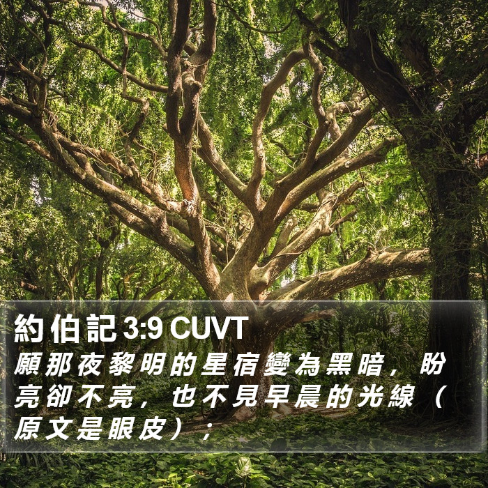 約 伯 記 3:9 CUVT Bible Study