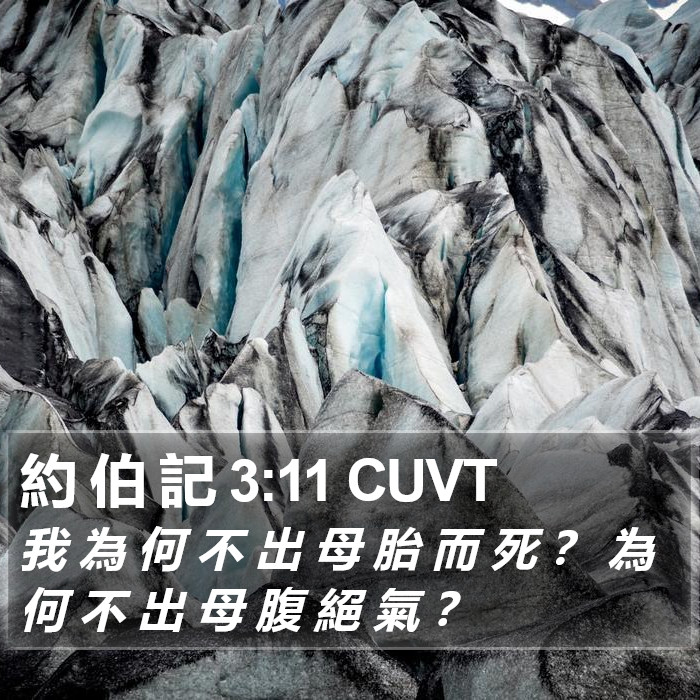 約 伯 記 3:11 CUVT Bible Study