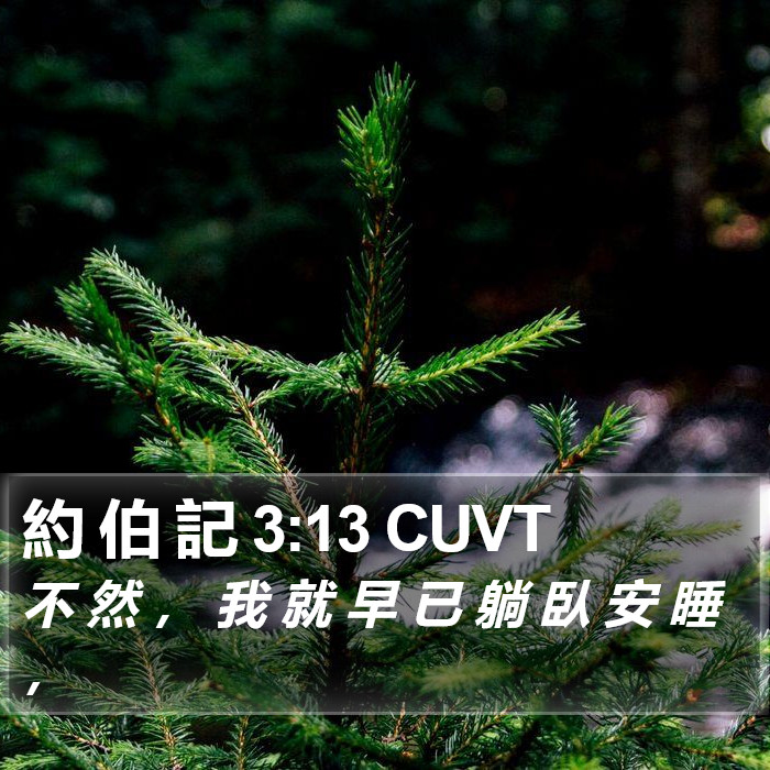 約 伯 記 3:13 CUVT Bible Study