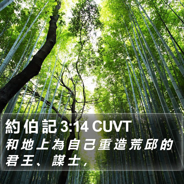 約 伯 記 3:14 CUVT Bible Study