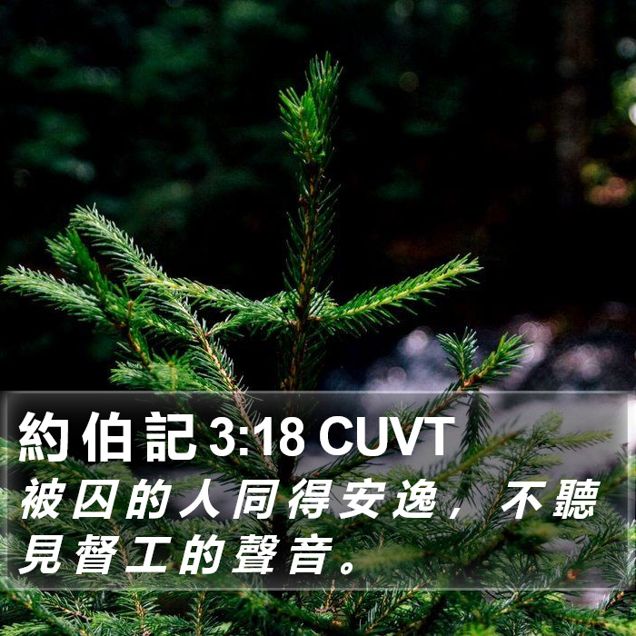 約 伯 記 3:18 CUVT Bible Study