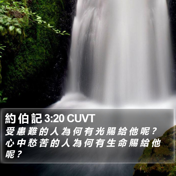 約 伯 記 3:20 CUVT Bible Study