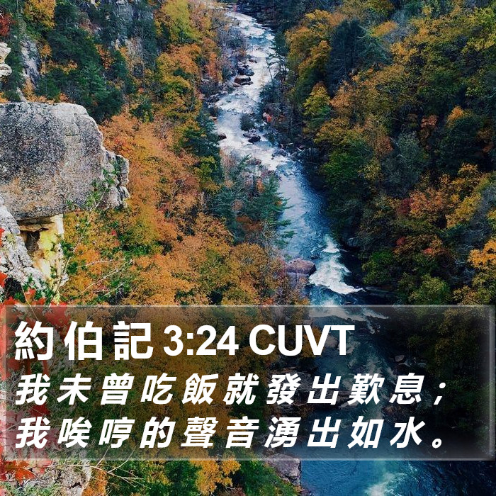 約 伯 記 3:24 CUVT Bible Study