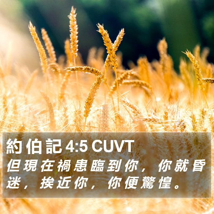 約 伯 記 4:5 CUVT Bible Study