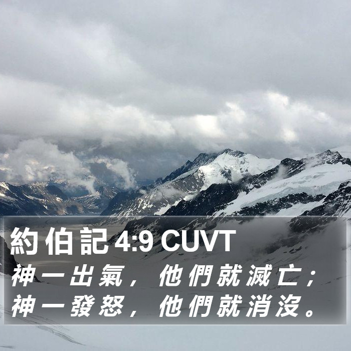 約 伯 記 4:9 CUVT Bible Study