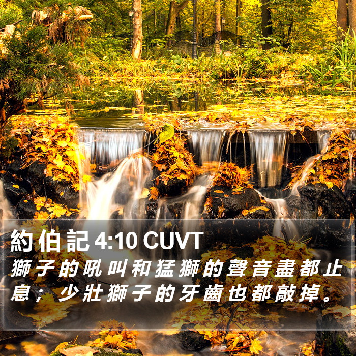 約 伯 記 4:10 CUVT Bible Study