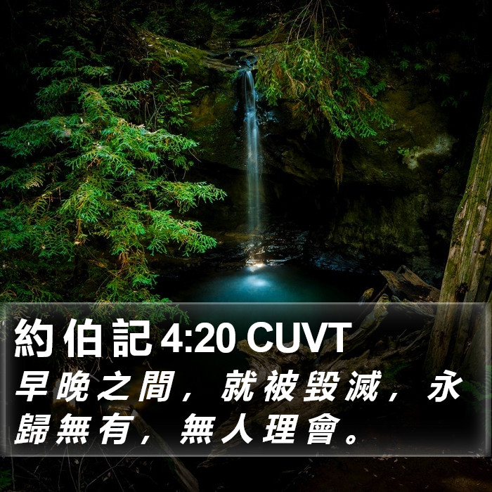 約 伯 記 4:20 CUVT Bible Study