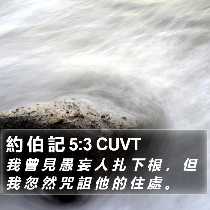 約 伯 記 5:3 CUVT Bible Study