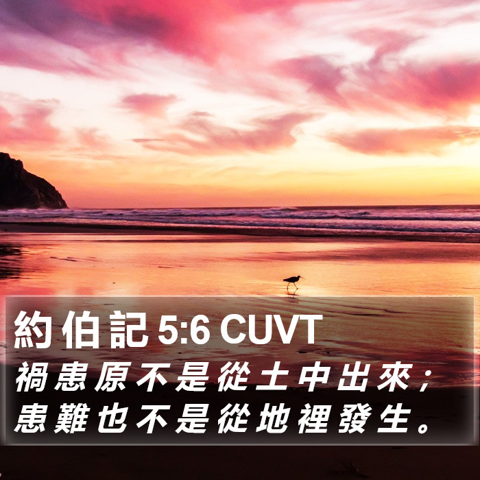 約 伯 記 5:6 CUVT Bible Study