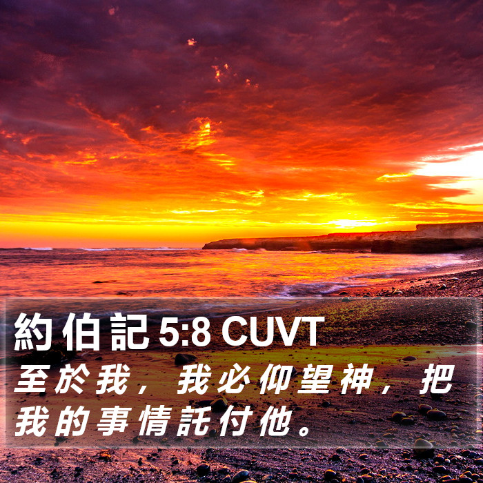 約 伯 記 5:8 CUVT Bible Study