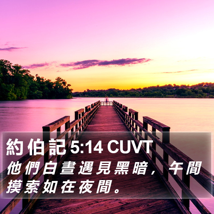 約 伯 記 5:14 CUVT Bible Study