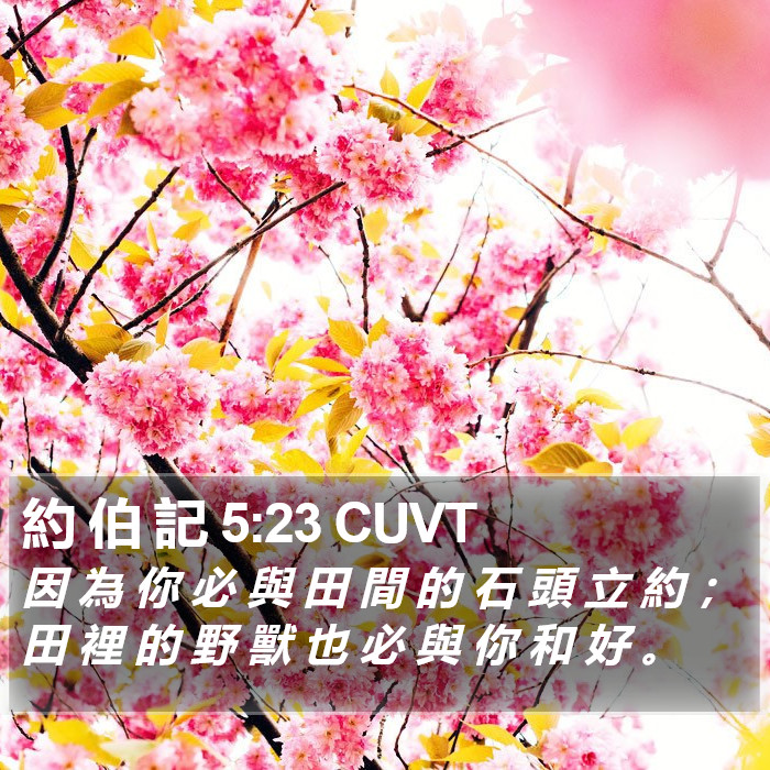 約 伯 記 5:23 CUVT Bible Study