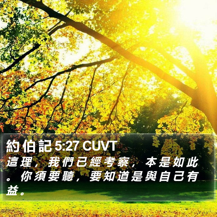 約 伯 記 5:27 CUVT Bible Study