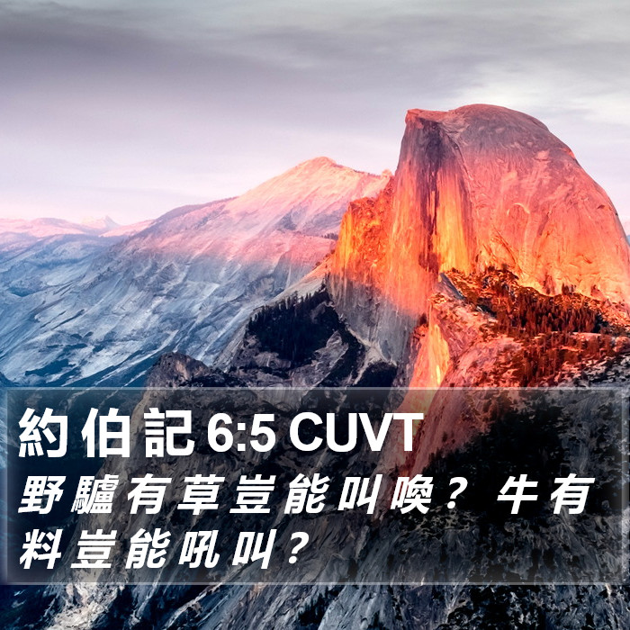 約 伯 記 6:5 CUVT Bible Study