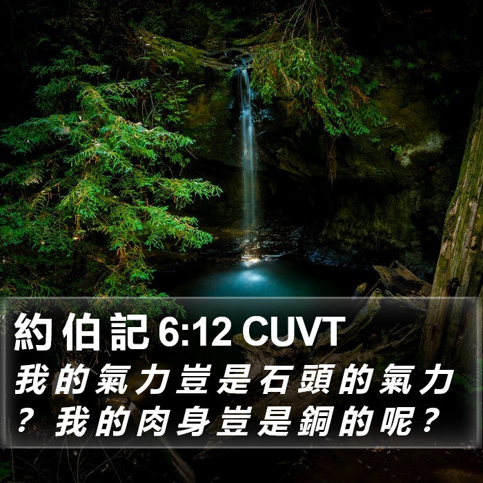 約 伯 記 6:12 CUVT Bible Study