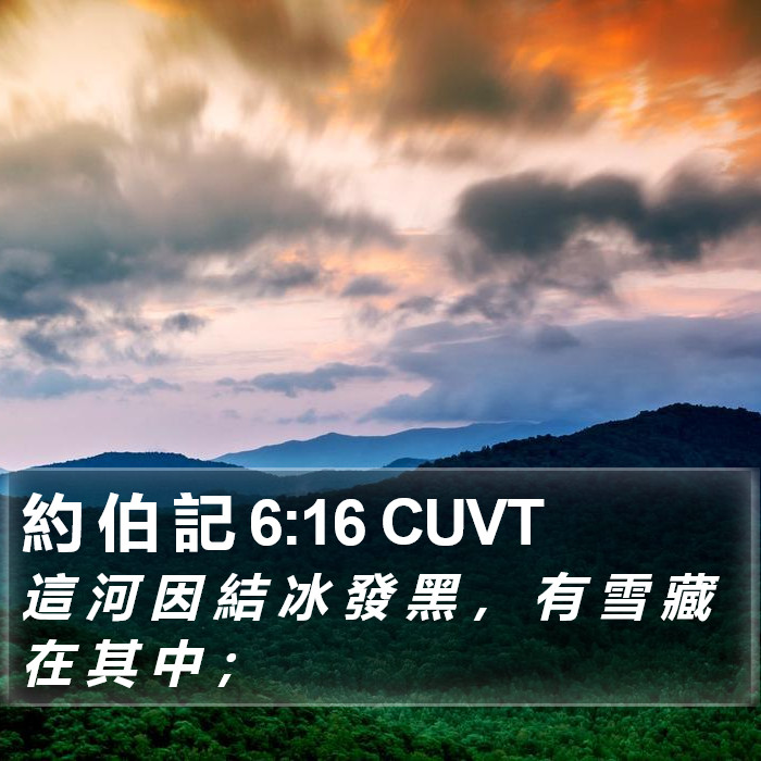 約 伯 記 6:16 CUVT Bible Study