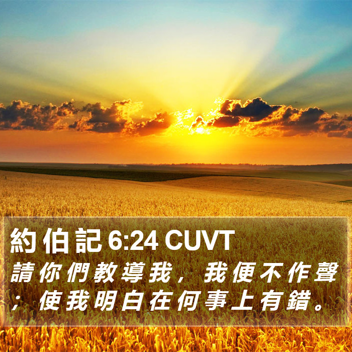 約 伯 記 6:24 CUVT Bible Study