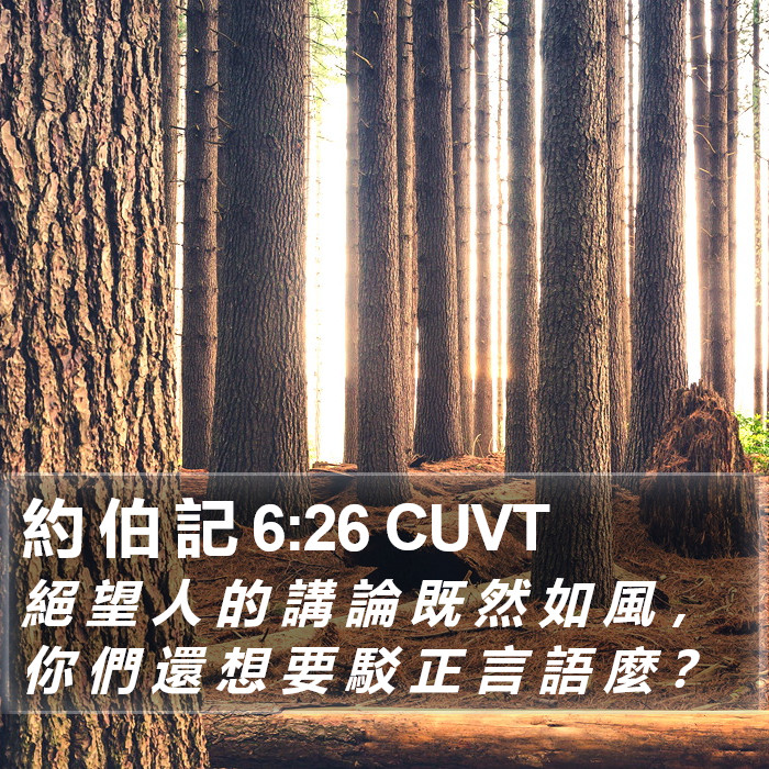 約 伯 記 6:26 CUVT Bible Study