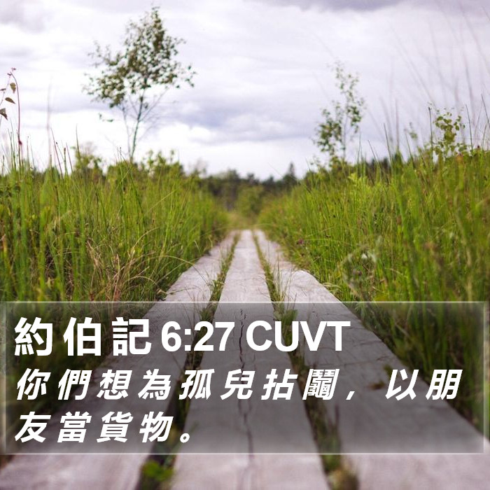 約 伯 記 6:27 CUVT Bible Study