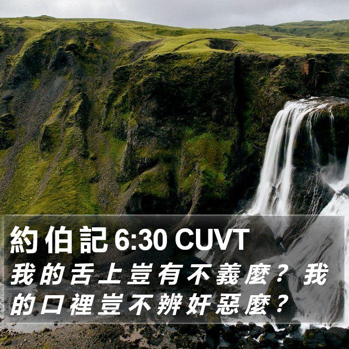 約 伯 記 6:30 CUVT Bible Study