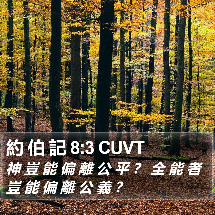 約 伯 記 8:3 CUVT Bible Study