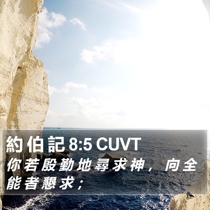 約 伯 記 8:5 CUVT Bible Study