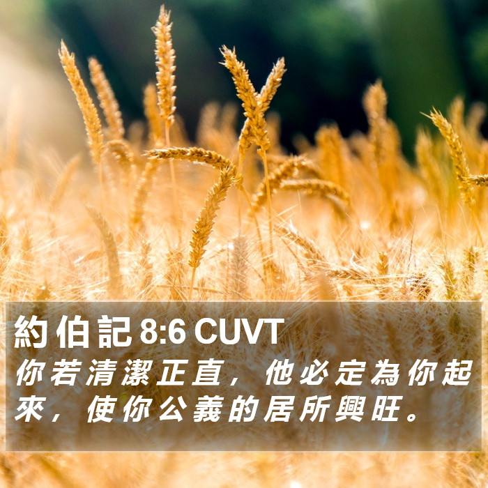 約 伯 記 8:6 CUVT Bible Study