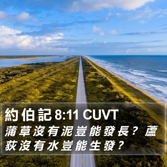 約 伯 記 8:11 CUVT Bible Study