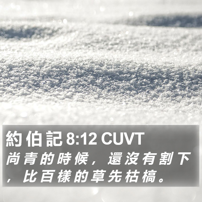 約 伯 記 8:12 CUVT Bible Study