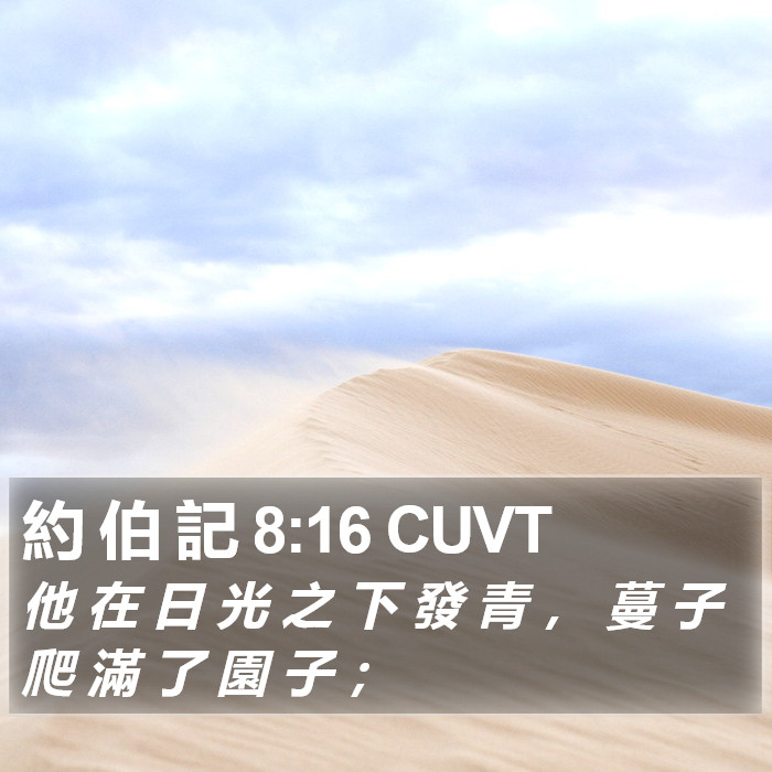 約 伯 記 8:16 CUVT Bible Study