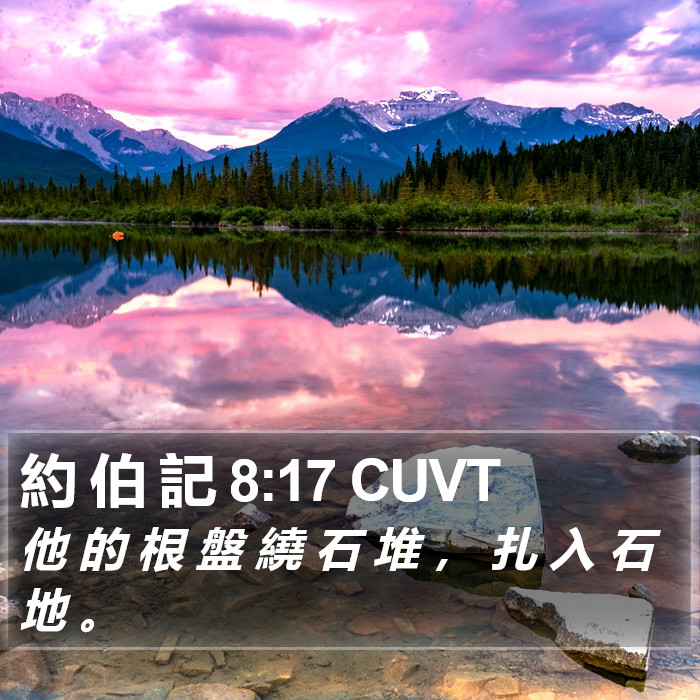 約 伯 記 8:17 CUVT Bible Study