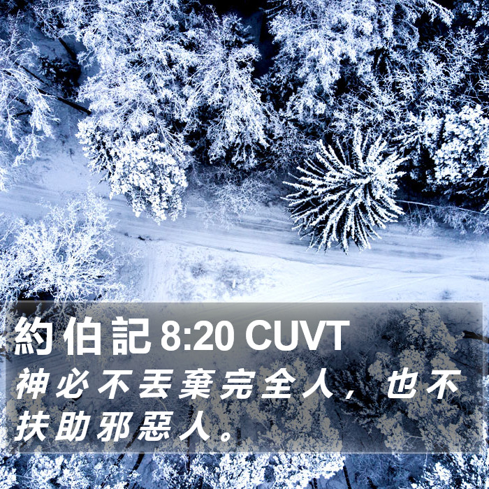 約 伯 記 8:20 CUVT Bible Study