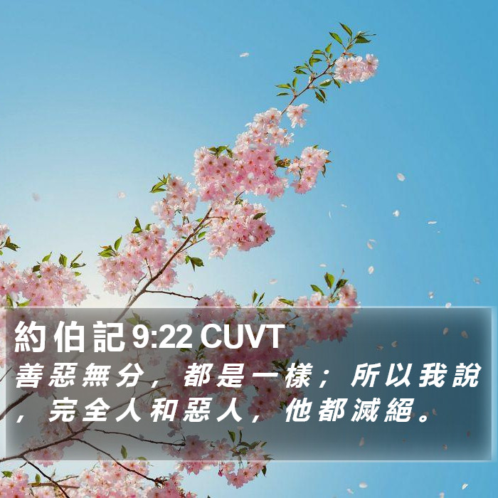 約 伯 記 9:22 CUVT Bible Study