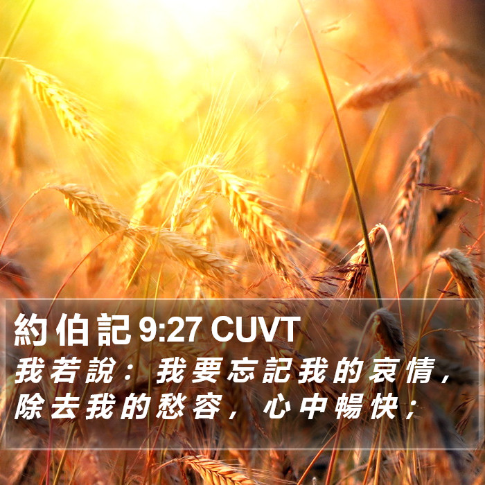 約 伯 記 9:27 CUVT Bible Study