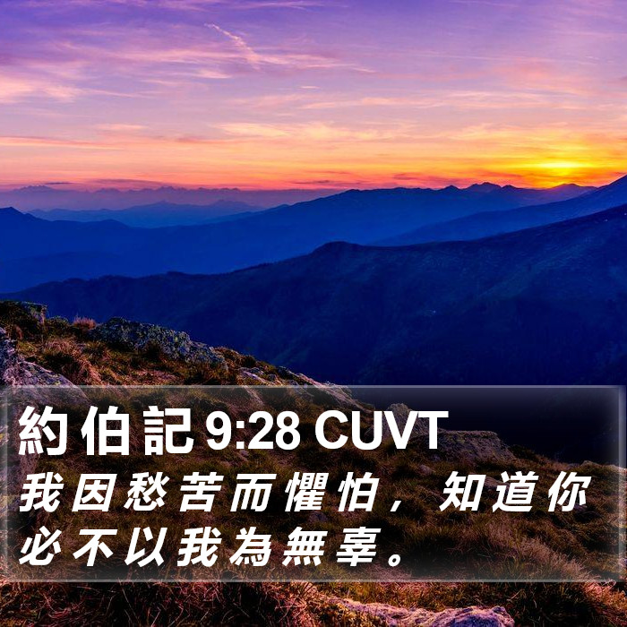 約 伯 記 9:28 CUVT Bible Study