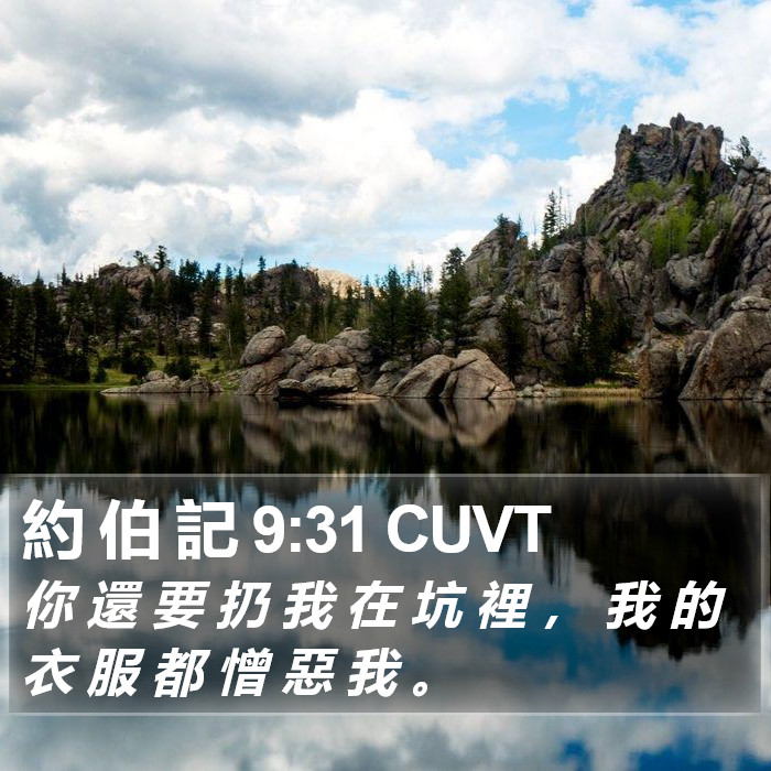 約 伯 記 9:31 CUVT Bible Study