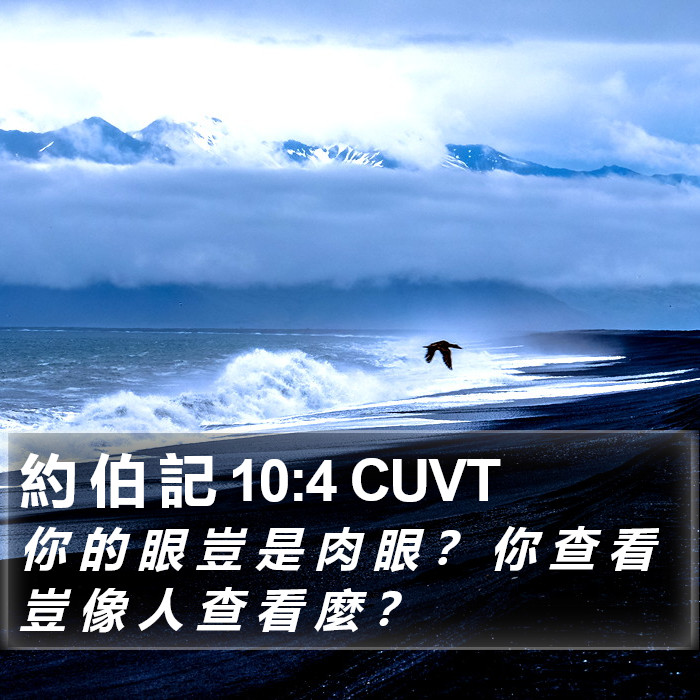 約 伯 記 10:4 CUVT Bible Study