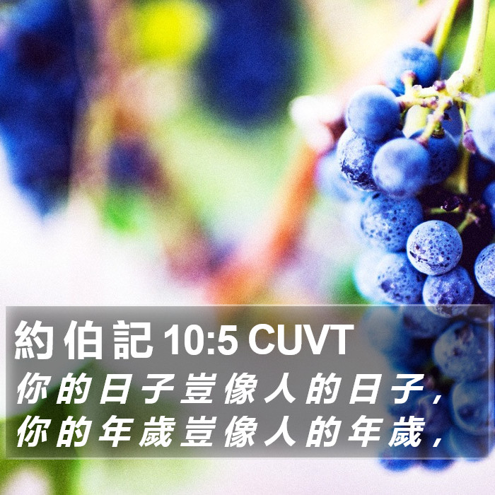 約 伯 記 10:5 CUVT Bible Study