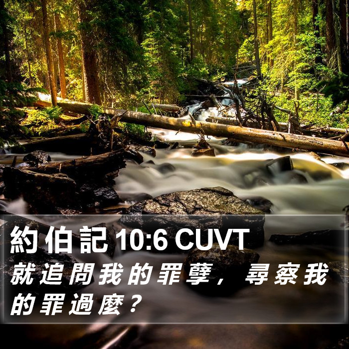 約 伯 記 10:6 CUVT Bible Study