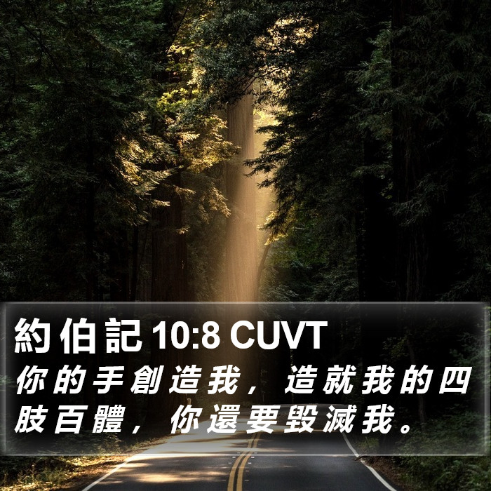 約 伯 記 10:8 CUVT Bible Study