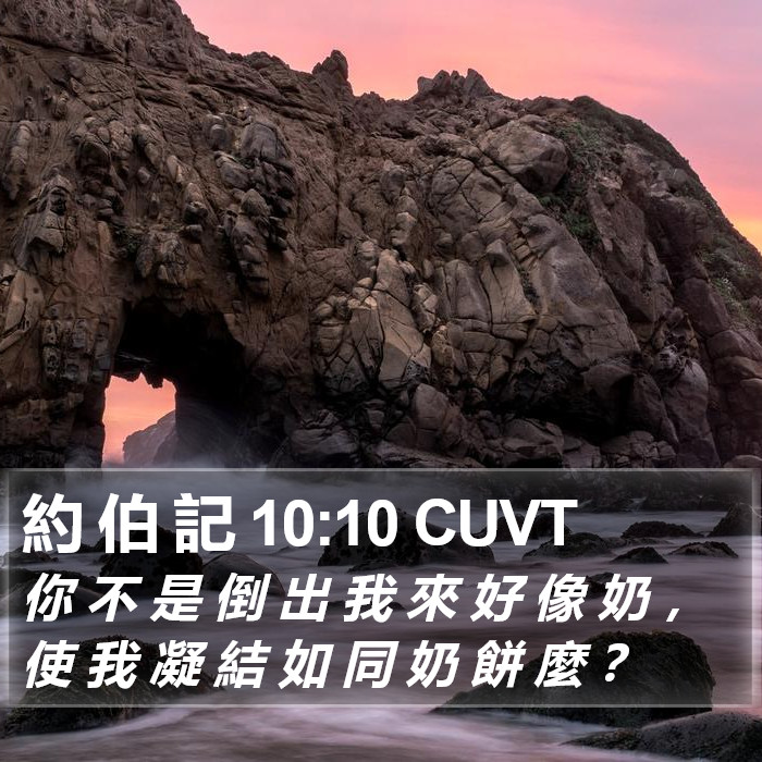 約 伯 記 10:10 CUVT Bible Study