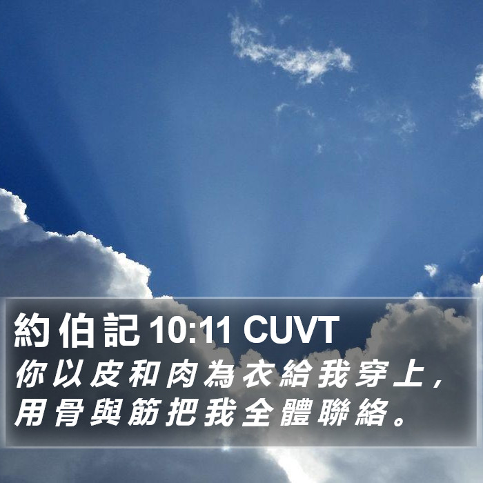 約 伯 記 10:11 CUVT Bible Study