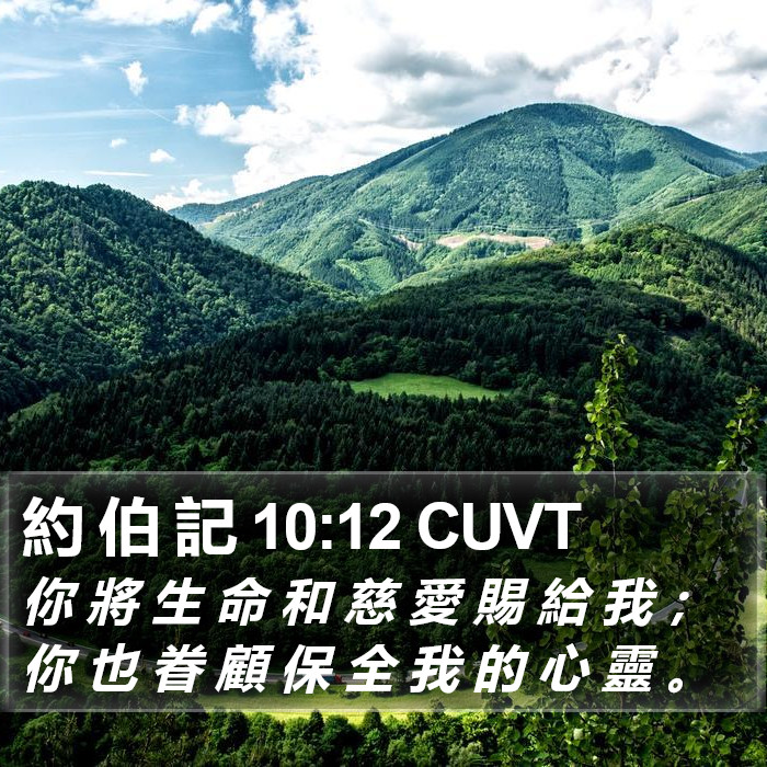 約 伯 記 10:12 CUVT Bible Study