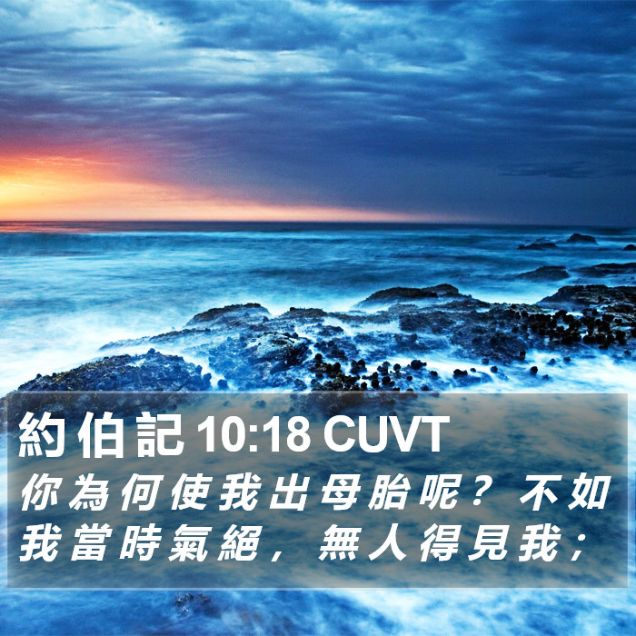 約 伯 記 10:18 CUVT Bible Study