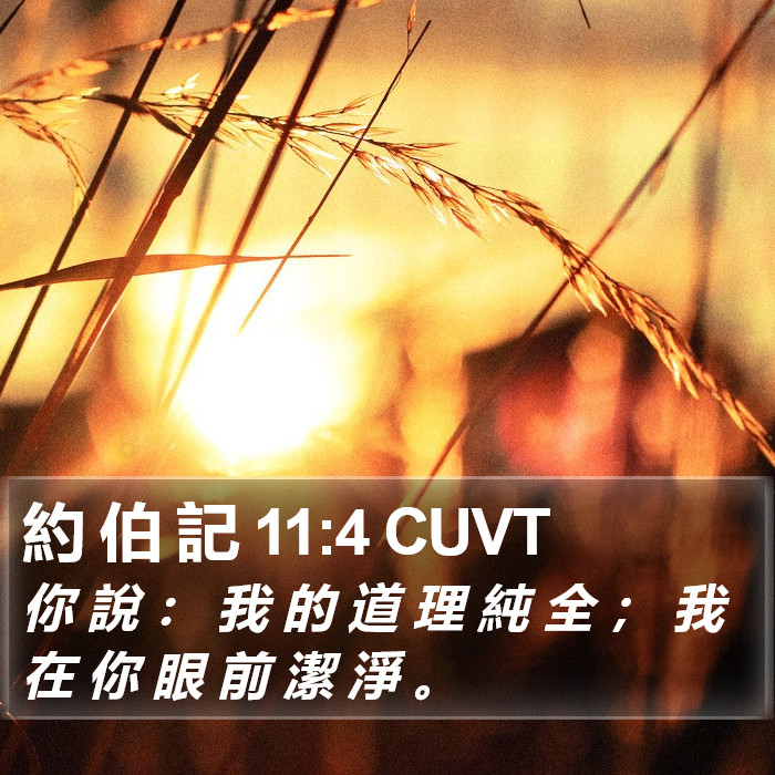 約 伯 記 11:4 CUVT Bible Study