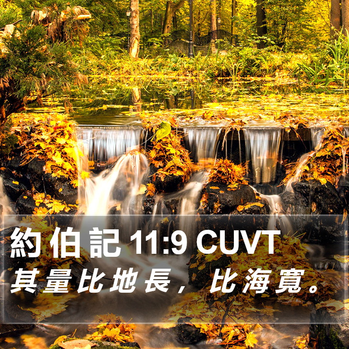 約 伯 記 11:9 CUVT Bible Study