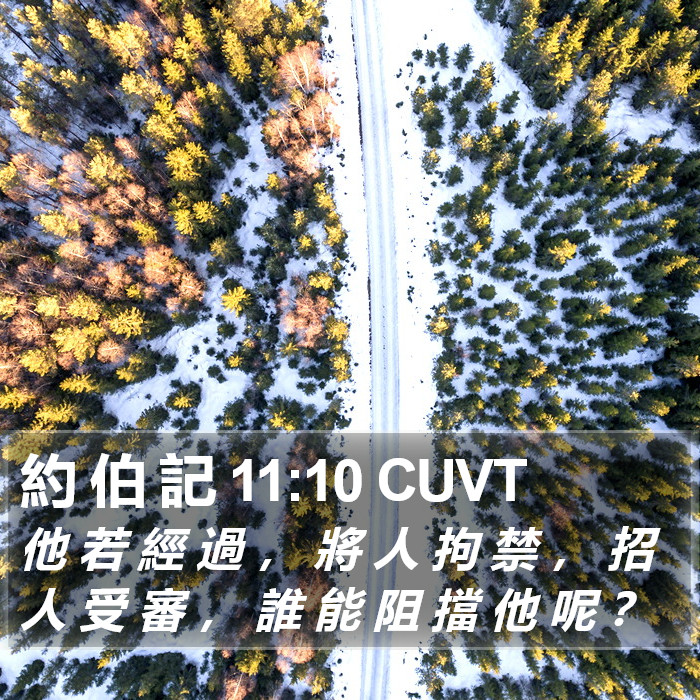 約 伯 記 11:10 CUVT Bible Study