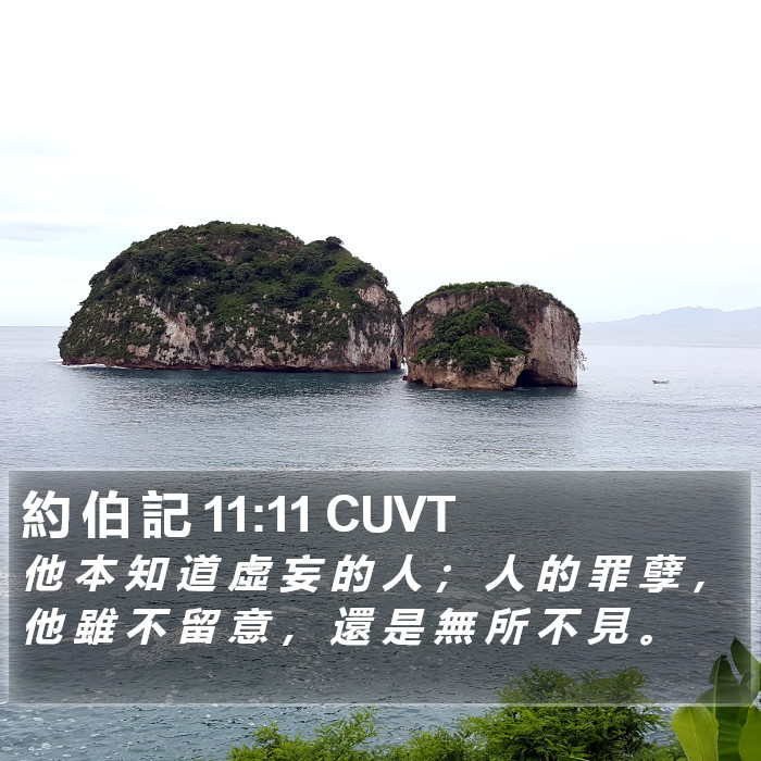 約 伯 記 11:11 CUVT Bible Study