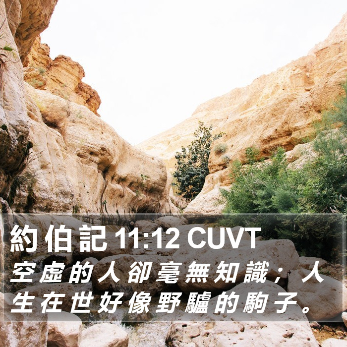 約 伯 記 11:12 CUVT Bible Study